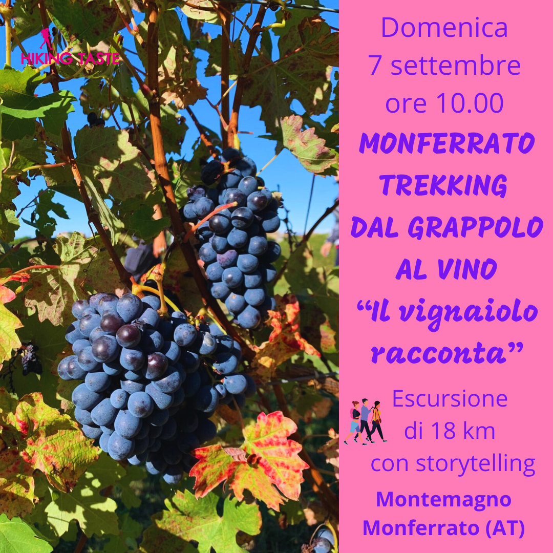 2025 09 07 MONFERRATO TREKKING  DAL GRAPPOLO AL VINO “Il vignaiolo racconta” Montemagno Locandina